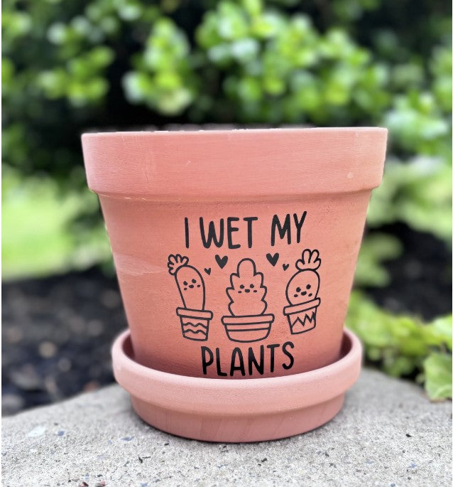 Terracotta Flower Pot with Tray | I Wet My Plants | Planter | Plant Lover