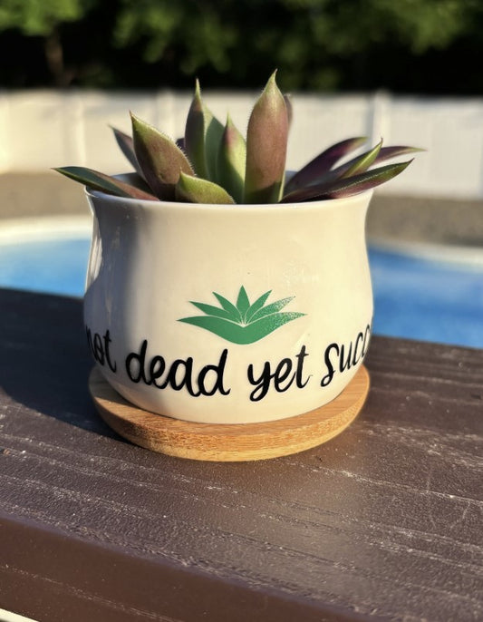 Not Dead Yet Succa | White Ceramic Succulent Pot with Tray | Aloe Cactus Planter | Plant Lover