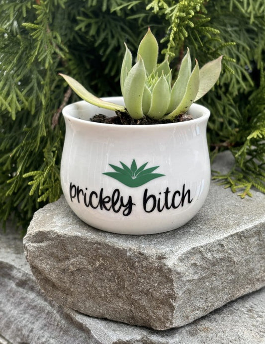 Prickly Bitch | White Ceramic Succulent Pot with Tray | Aloe Cactus Planter | Plant Lover