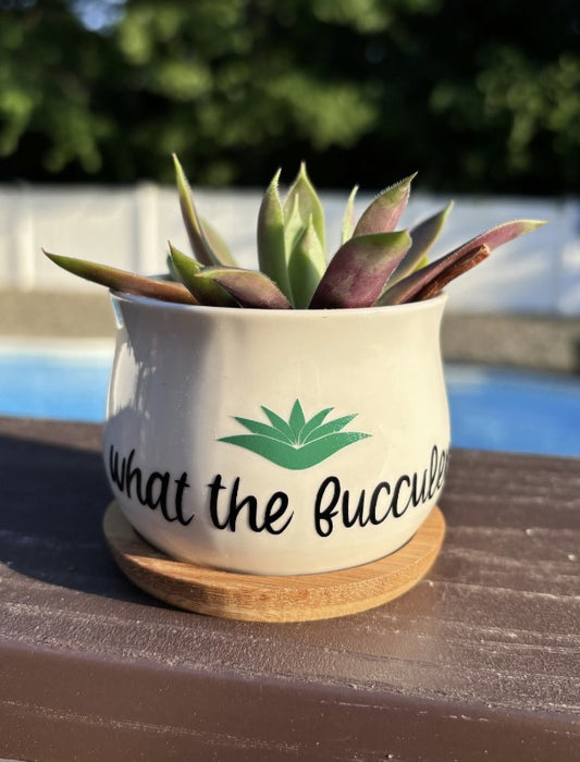 What The Fucculent | White Ceramic Succulent Pot with Tray | Aloe Cactus Planter | Plant Lover